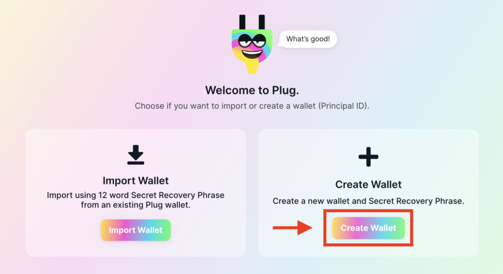Plug Wallet（プラグウォレット）をChromeにインストールする方法 パスワードの作成