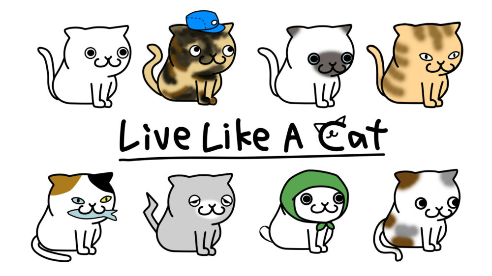 Live Like A Cat